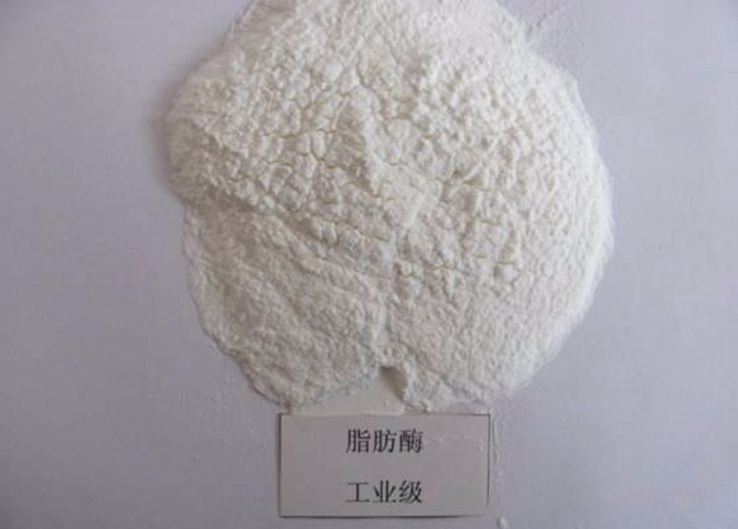 酶制劑干燥技術(shù)解決方案